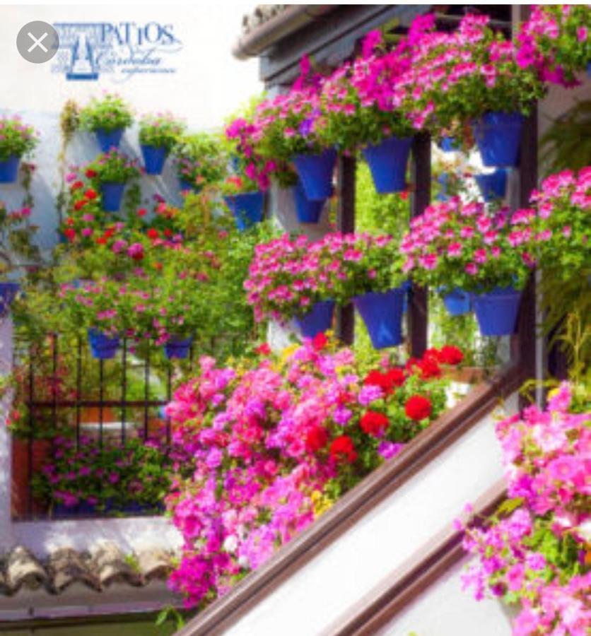 A 20 Metros De La Mezquita Catedral ,Apartamentos Turistico Cespedes 5 科爾多瓦 外观 照片