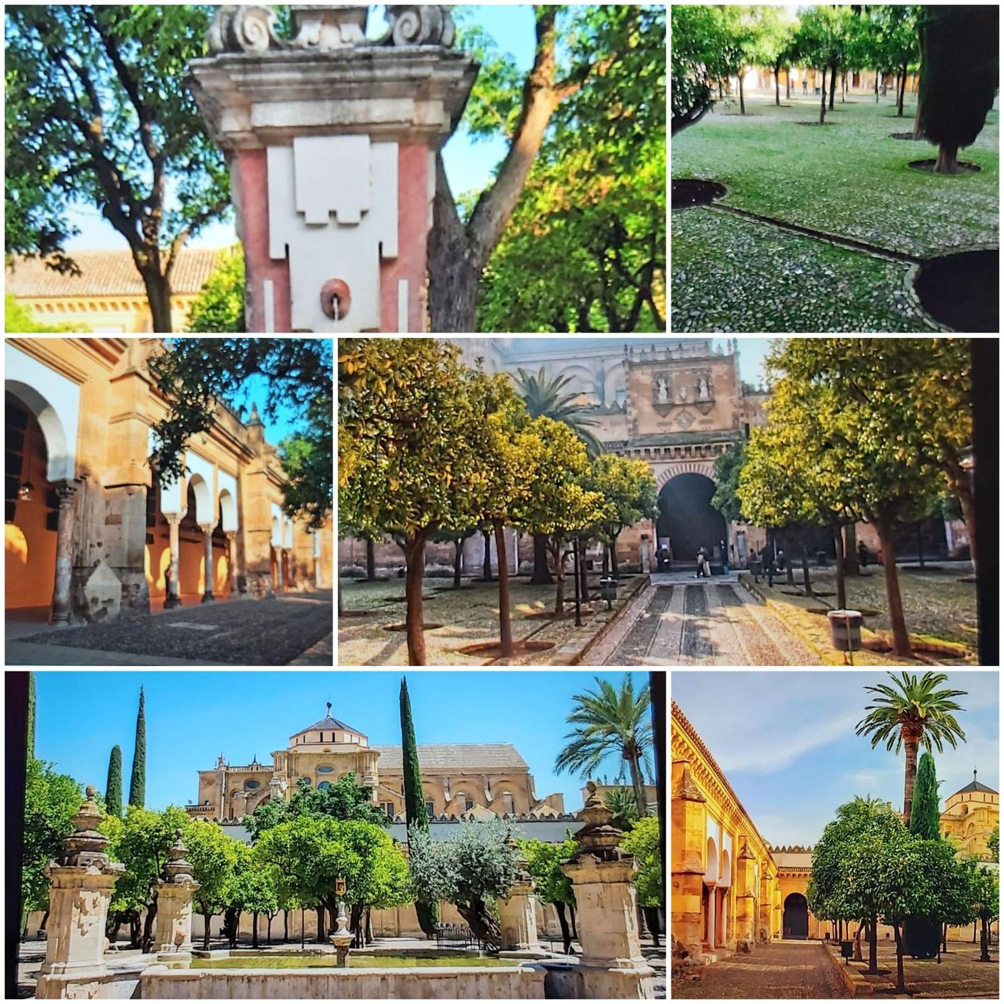 A 20 Metros De La Mezquita Catedral ,Apartamentos Turistico Cespedes 5 科爾多瓦 客房 照片