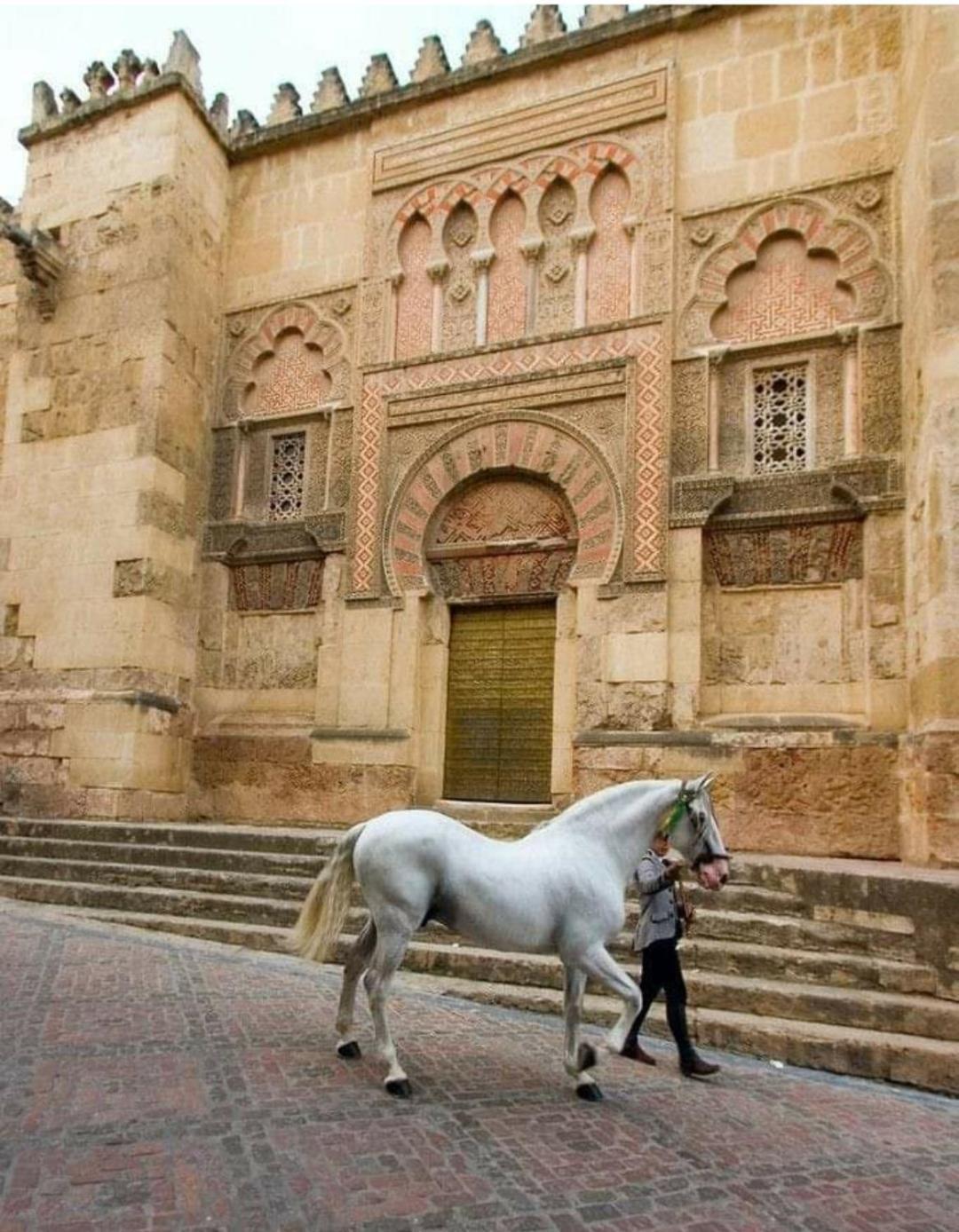 A 20 Metros De La Mezquita Catedral ,Apartamentos Turistico Cespedes 5 科爾多瓦 客房 照片