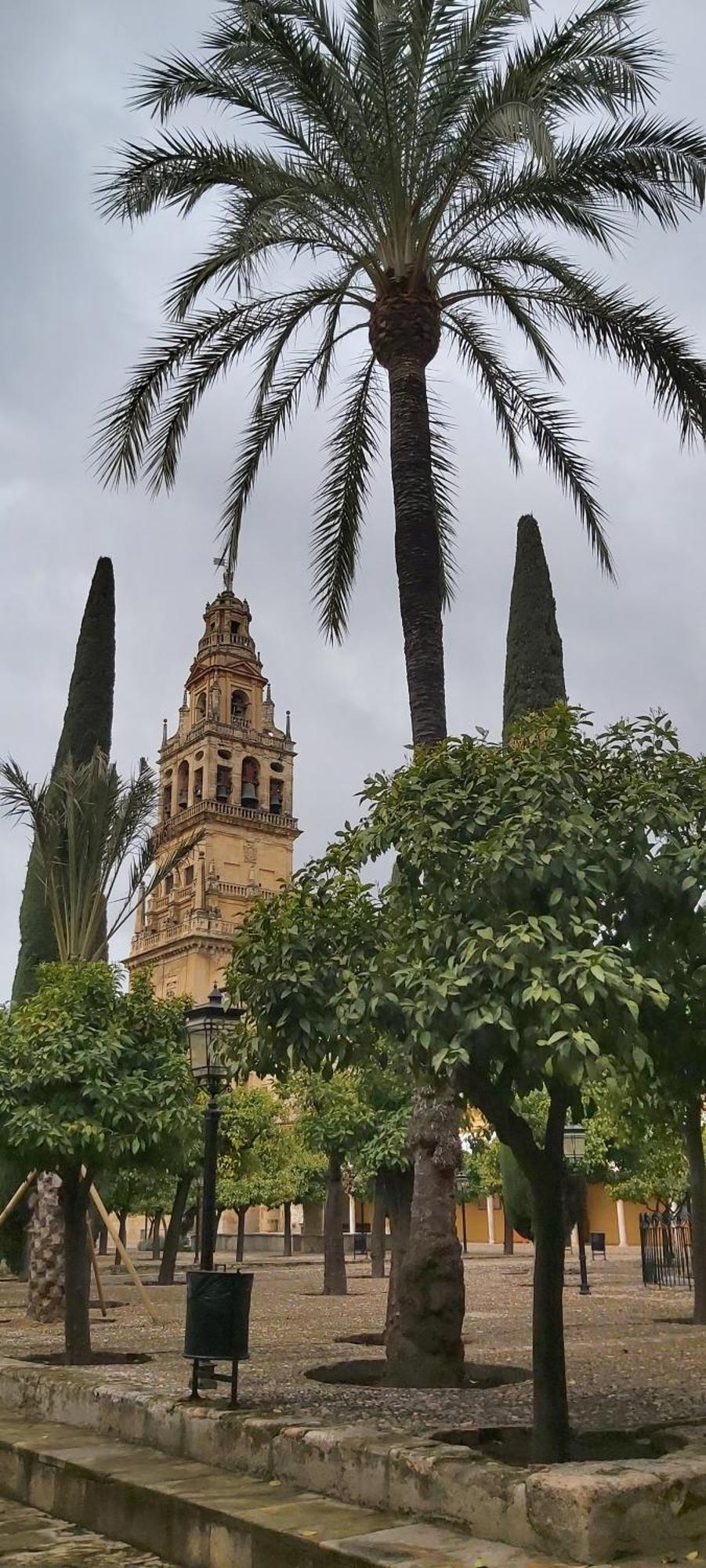 A 20 Metros De La Mezquita Catedral ,Apartamentos Turistico Cespedes 5 科爾多瓦 客房 照片